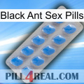 Black Ant Sex Pills 22